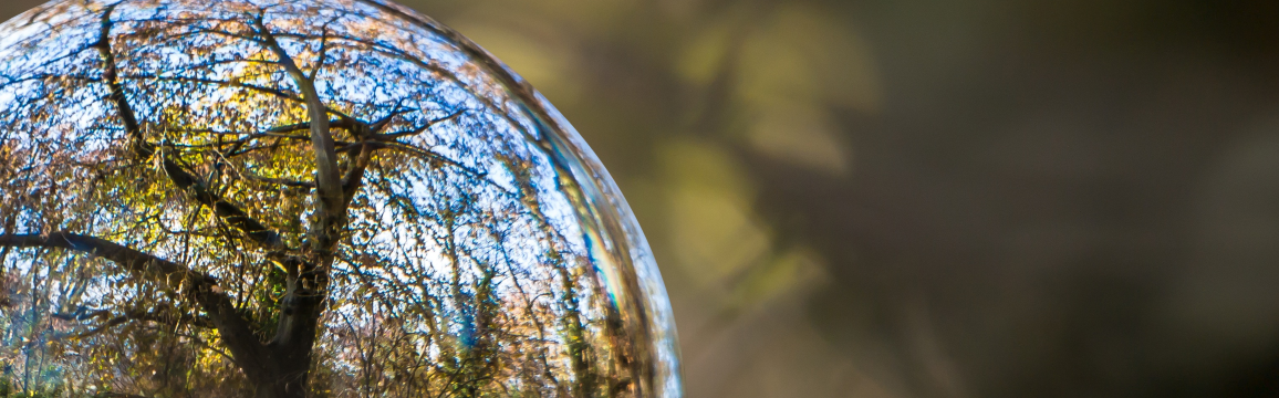 19 organisations défendent un pacte écologique & social
