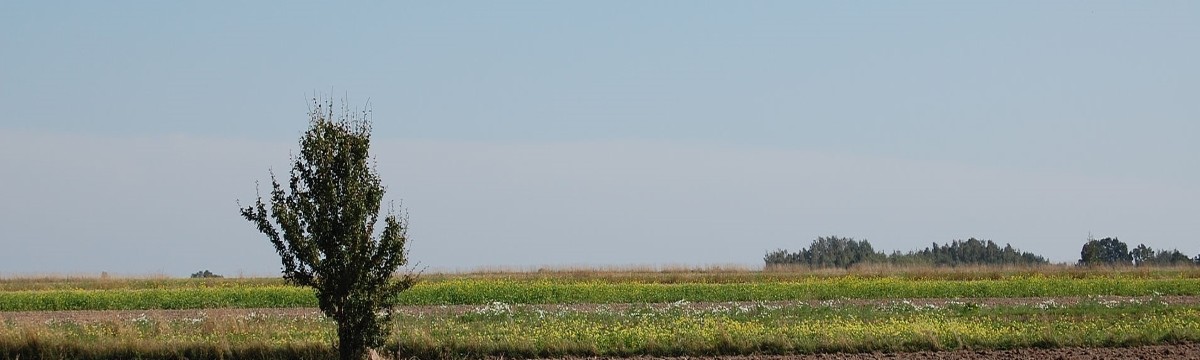 Pour la mise en place d’un label RSE dans l’agriculture